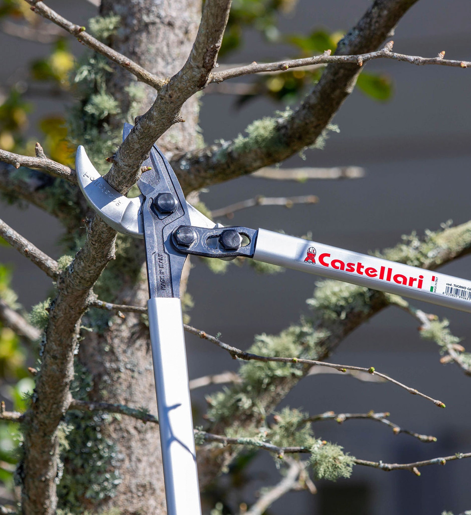 Castellari Silex Tools WS