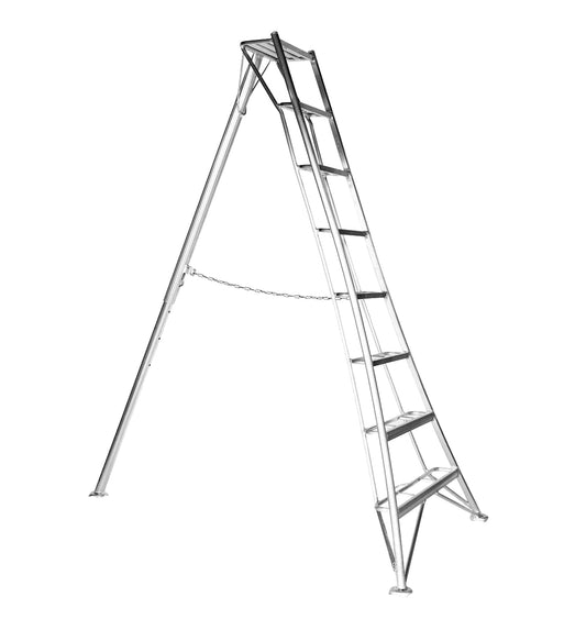 Hasegawa Ladder
